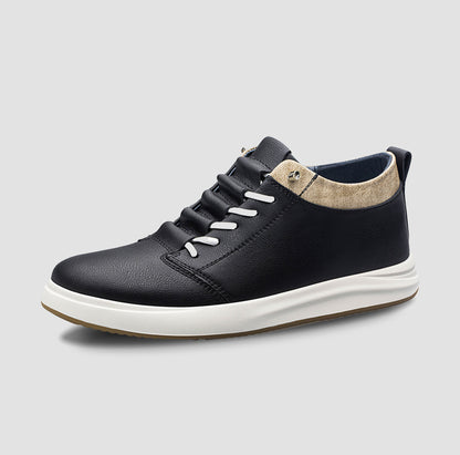 Zenith 2.5