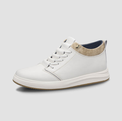 Zenith 2.5
